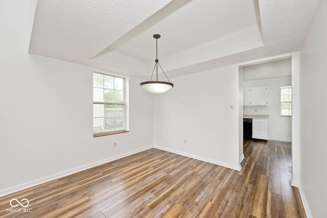 11320 Lynchburg Way, Indianapolis, IN 46229 - spare room featuring a raised ceiling, hardwood / wood-style floors, healthy amount of natural light, and a textured ceiling