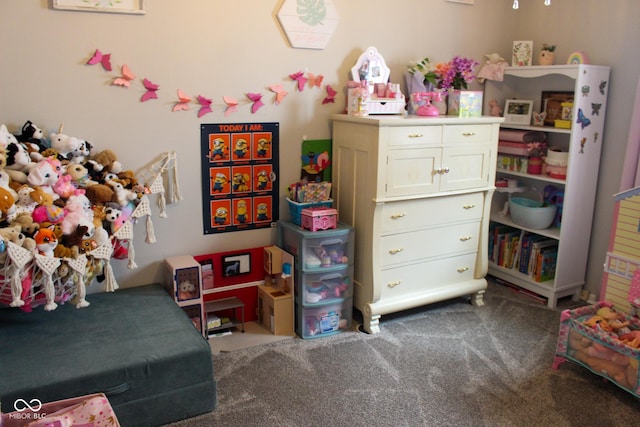 219 N 9th Ave, Beech Grove, IN 46107 - playroom with dark carpet