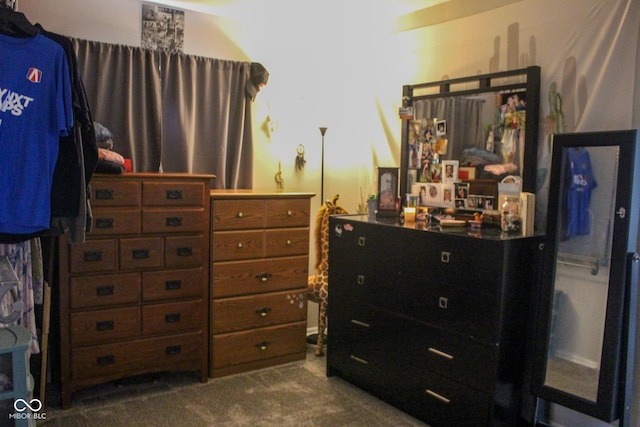 219 N 9th Ave, Beech Grove, IN 46107 - bedroom featuring dark colored carpet