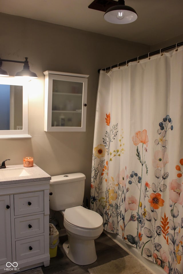219 N 9th Ave, Beech Grove, IN 46107 - bathroom featuring vanity, wood finished floors, and a shower with shower curtain