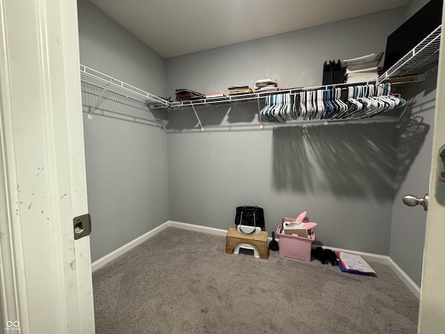8969 Faulkner Dr, Indianapolis, IN 46239 - spacious closet featuring carpet