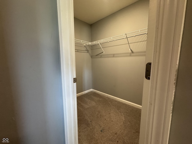 8969 Faulkner Dr, Indianapolis, IN 46239 - walk in closet featuring carpet