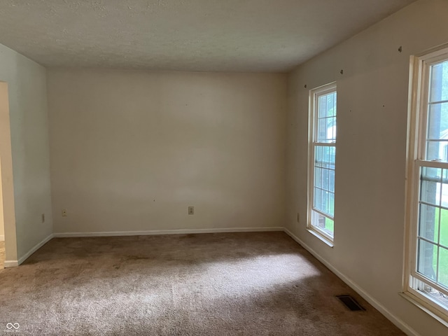 7667 Madden Ln, Fishers, IN 46038 - carpeted empty room featuring healthy amount of natural light and a textured ceiling