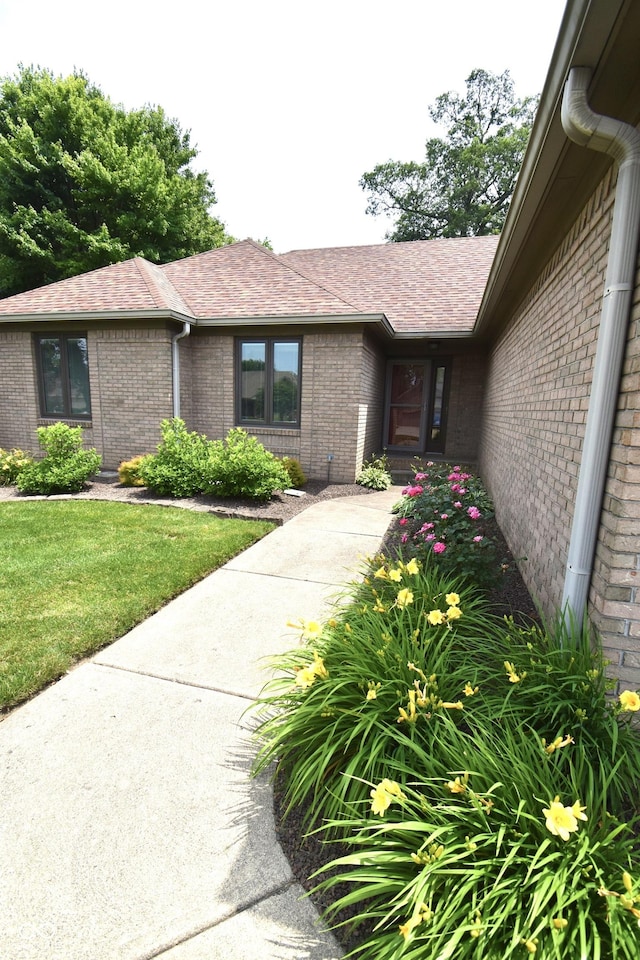 5943 Red Maple Dr, Indianapolis, IN 46237 - view of exterior entry featuring brick siding, roof with shingles, and a yard