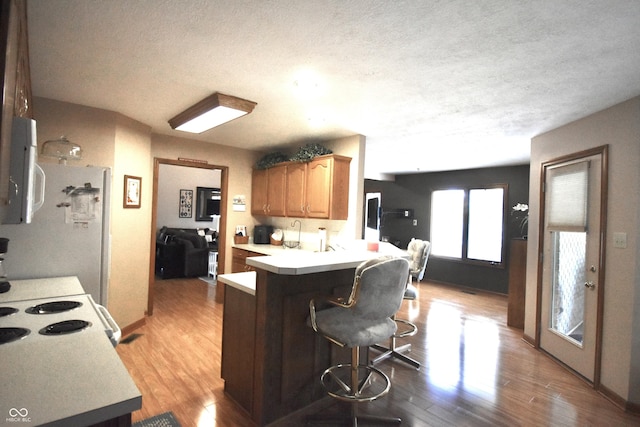 5943 Red Maple Dr, Indianapolis, IN 46237 - kitchen with light wood-style floors, a kitchen bar, light countertops, a peninsula, and a textured ceiling