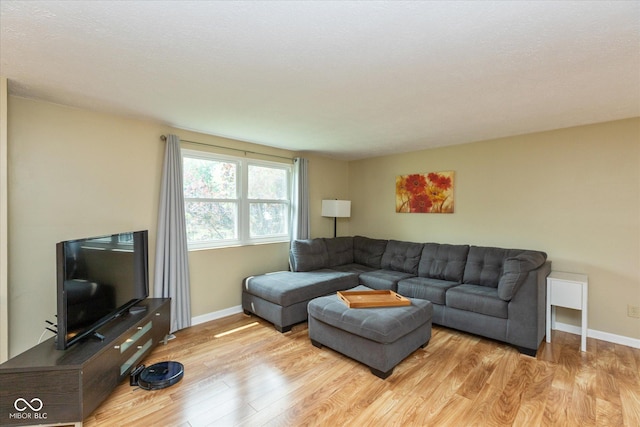 5802 Rymark Ct, Indianapolis, IN 46250 - living area with light wood-type flooring and baseboards