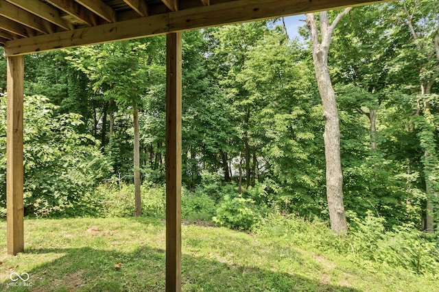 14442 Treasure Creek Ln, Fishers, IN 46038 - view of grassy yard featuring a forest view