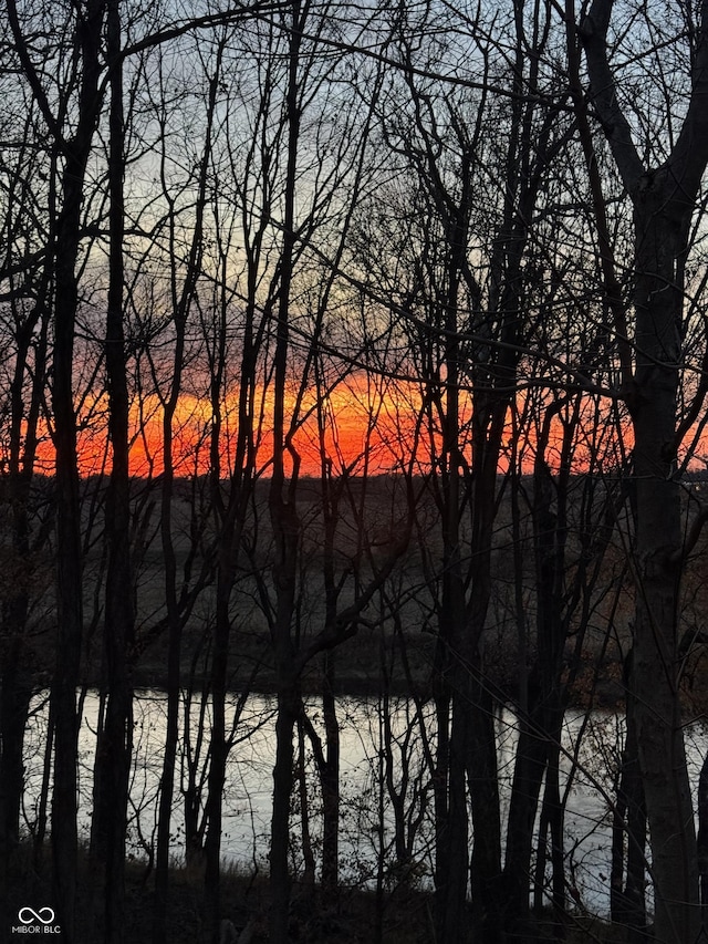 14442 Treasure Creek Ln, Fishers, IN 46038 - water view