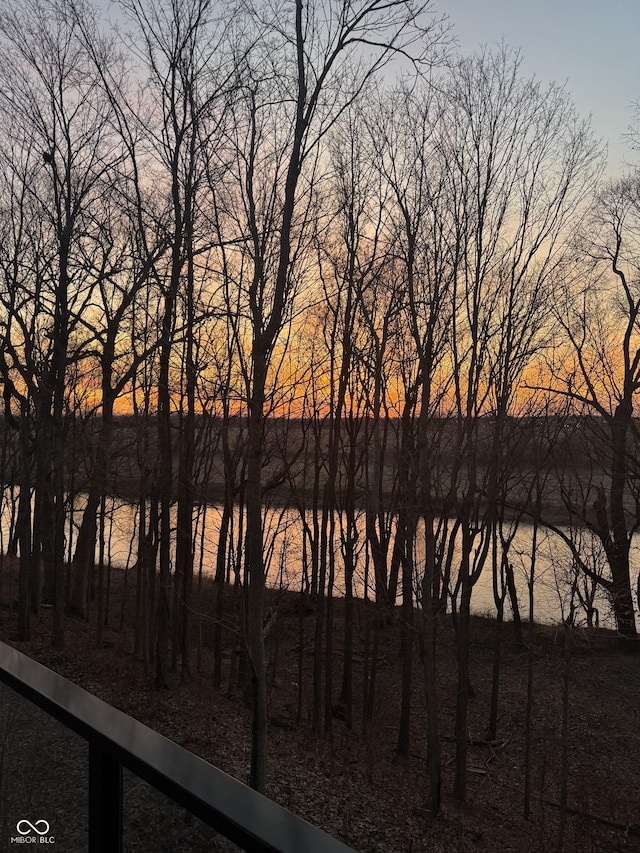 14442 Treasure Creek Ln, Fishers, IN 46038 - water view