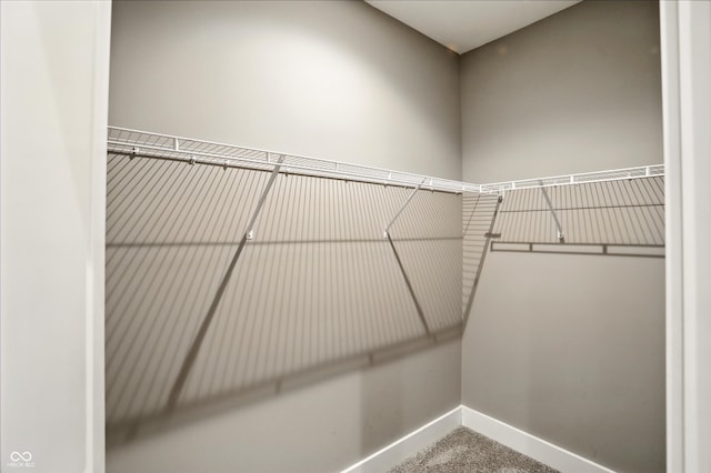 14474 Treasure Creek Ln, Fishers, IN 46038 - walk in closet featuring carpet