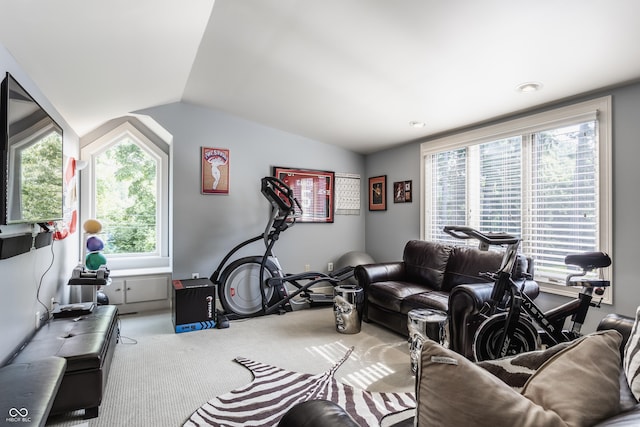 8651 Emerald Ln, Indianapolis, IN 46260 - carpeted living area featuring vaulted ceiling