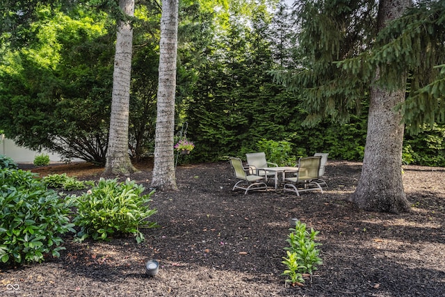 8651 Emerald Ln, Indianapolis, IN 46260 - view of yard