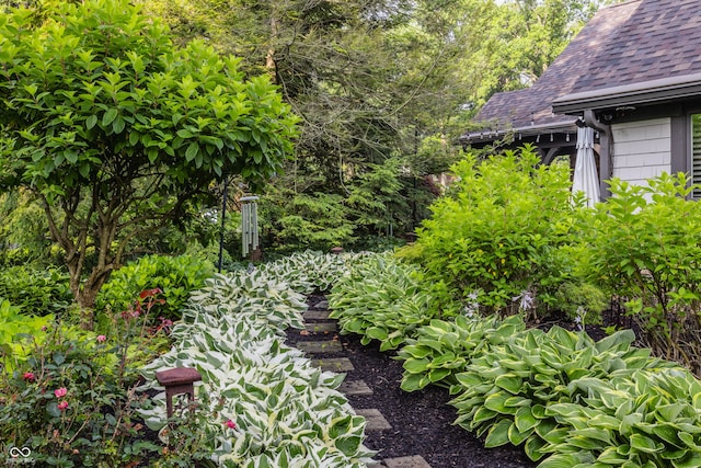 8651 Emerald Ln, Indianapolis, IN 46260 - view of yard