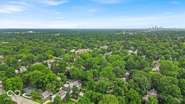 4732 N Kenwood Ave, Indianapolis, IN 46208 - drone / aerial view of a forest