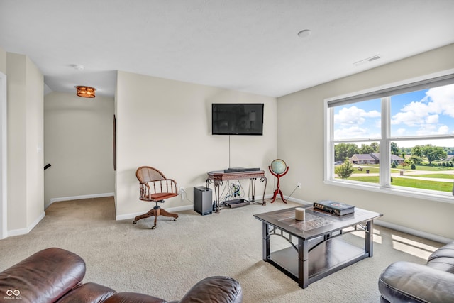 9231 E Poynter Dr, Morgantown, IN 46160 - living room with carpet and lofted ceiling