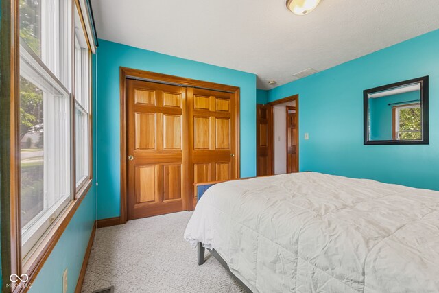 6629 Woodcrest Dr, Avon, IN 46123 - carpeted bedroom with a closet and baseboards