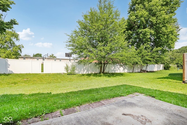 1138 Topp Creek Dr, Indianapolis, IN 46214 - view of yard featuring a patio area