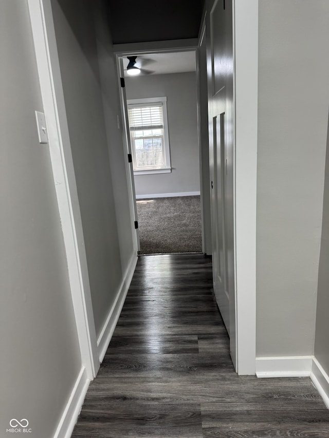 1006 Hurricane St, Franklin, IN 46131 - hallway with dark wood-type flooring