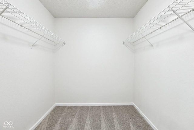 13355 Heroic Way, Fishers, IN 46037 - photo 22