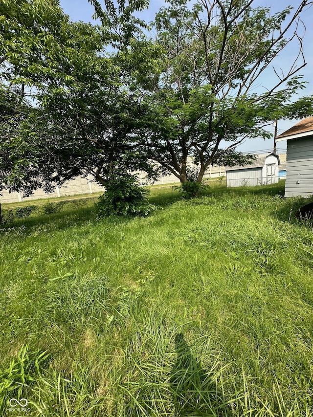 4908 Elmhurst Dr, Indianapolis, IN 46226 - view of yard