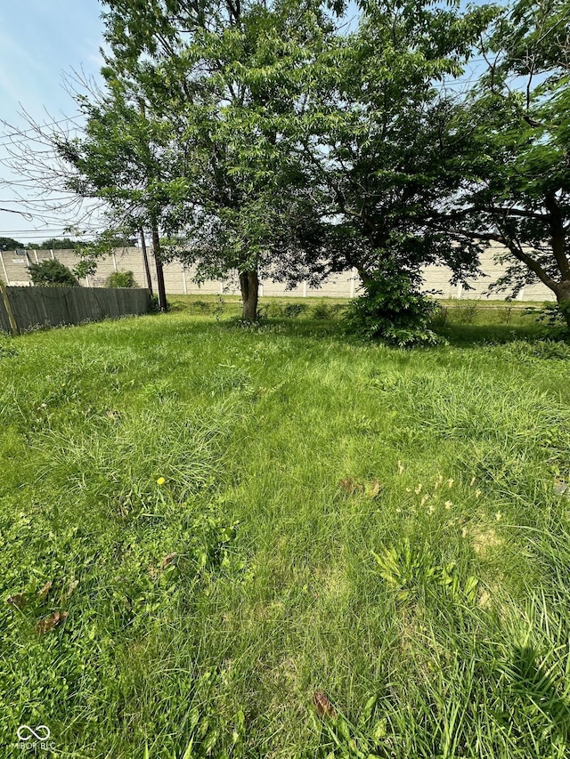 4908 Elmhurst Dr, Indianapolis, IN 46226 - view of yard