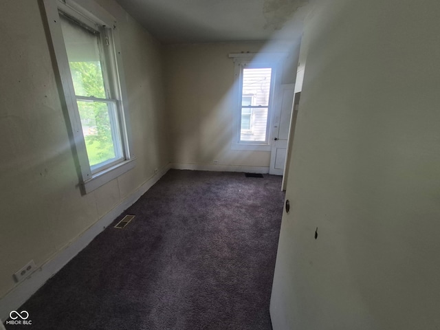 711 W Centennial Ave, Muncie, IN 47303 - spare room featuring plenty of natural light and dark carpet