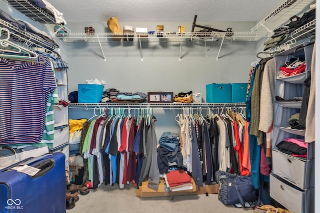 705 Ridge Gate Dr, Brownsburg, IN 46112 - walk in closet with carpet