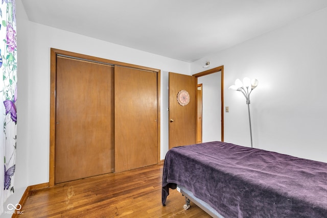 10965 W Base Line Rd, Jamestown, IN 46147 - bedroom with wood finished floors and a closet