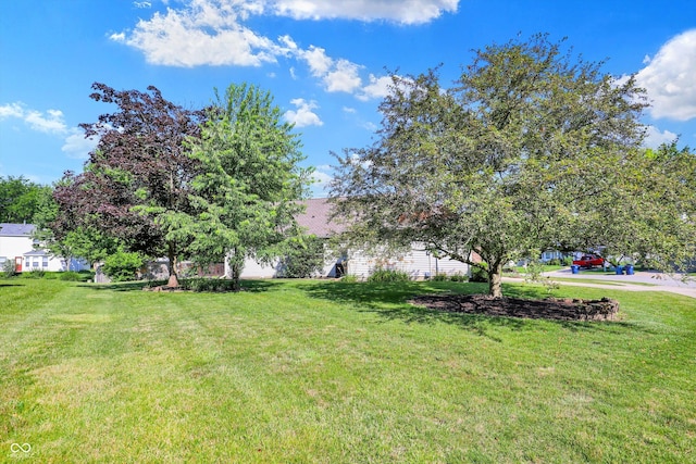 9055 Glass Chimney Ln, Fishers, IN 46037 - view of grassy yard