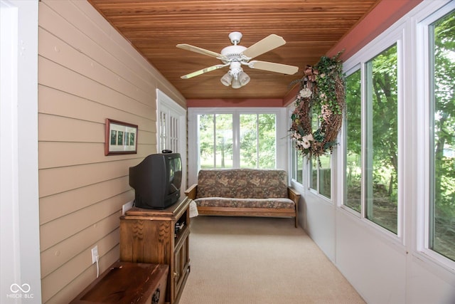 5538 N 700 W, Mccordsville, IN 46055 - sunroom / solarium with wooden ceiling, carpet flooring, and wooden walls