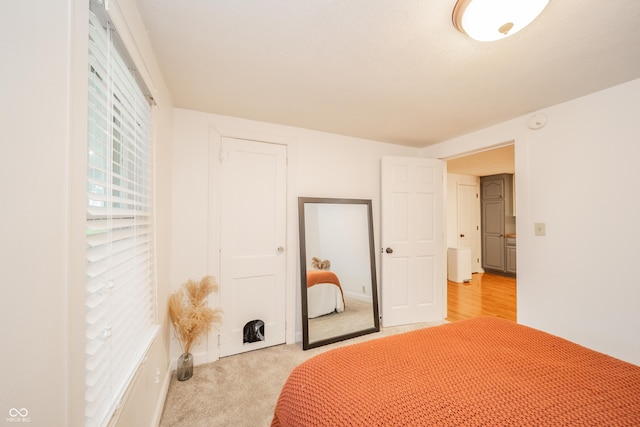 4491 W 600 N, Anderson, IN 46011 - bedroom with a closet and light colored carpet