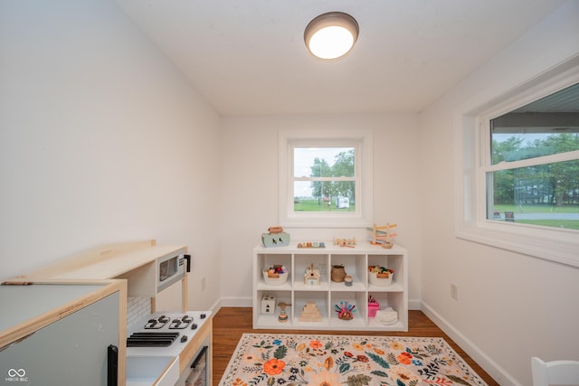 4491 W 600 N, Anderson, IN 46011 - recreation room with wood finished floors and plenty of natural light