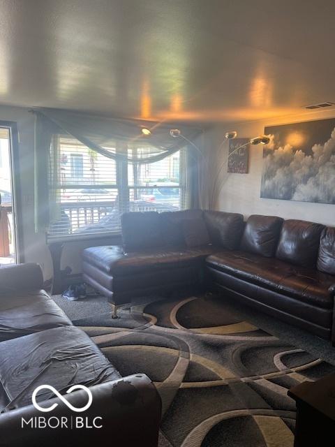 2021 Columbia Ave, Indianapolis, IN 46202 - carpeted living room with healthy amount of natural light
