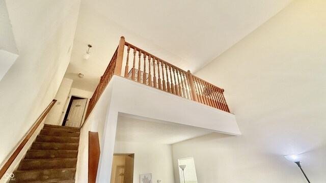 5924 Sable Dr, Indianapolis, IN 46221 - photo 5