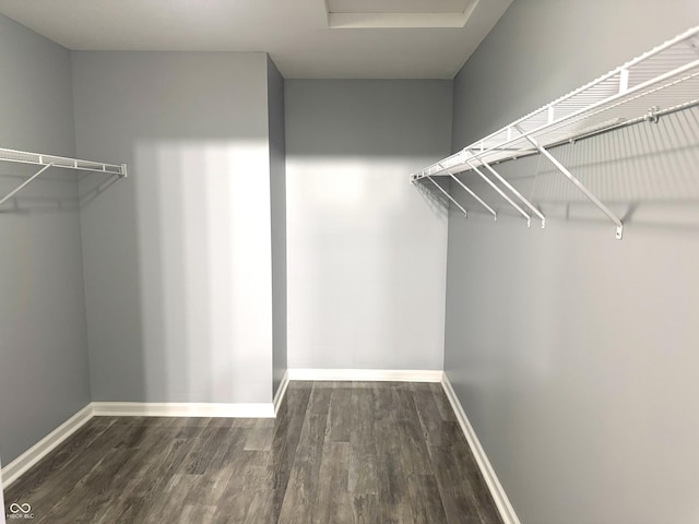 3314 Montgomery Dr, Indianapolis, IN 46227 - walk in closet featuring attic access and wood finished floors