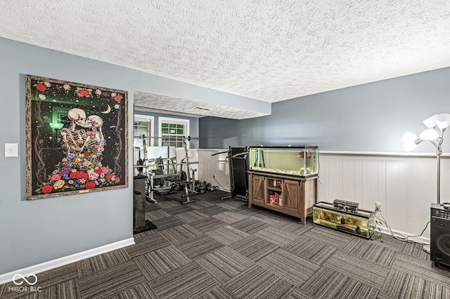 7616 Concord Ln, Fishers, IN 46038 - workout area with a textured ceiling, carpet flooring, and wainscoting