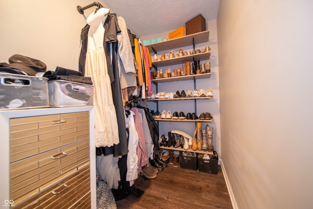 4238 Victory Ct, Indianapolis, IN 46203 - spacious closet with wood finished floors