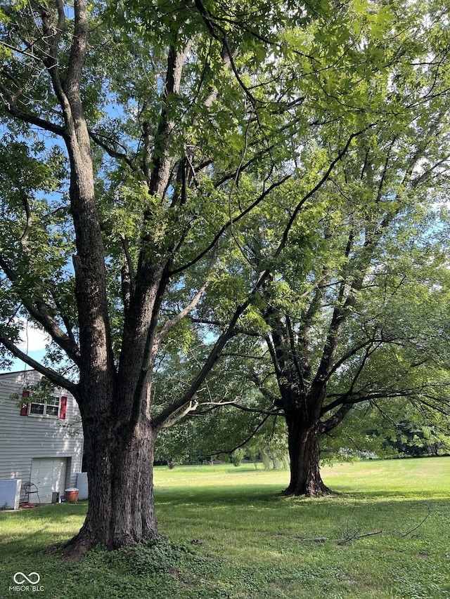 4633 S County Road 500 E, Plainfield, IN 46168 - view of green lawn with a garage
