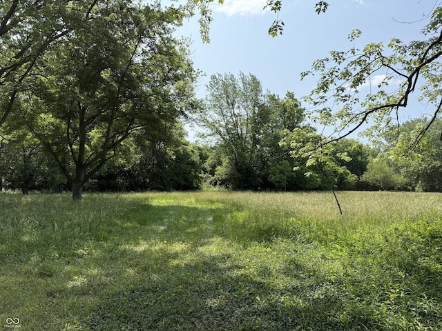 4633 S County Road 500 E, Plainfield, IN 46168 - view of yard with a view of trees