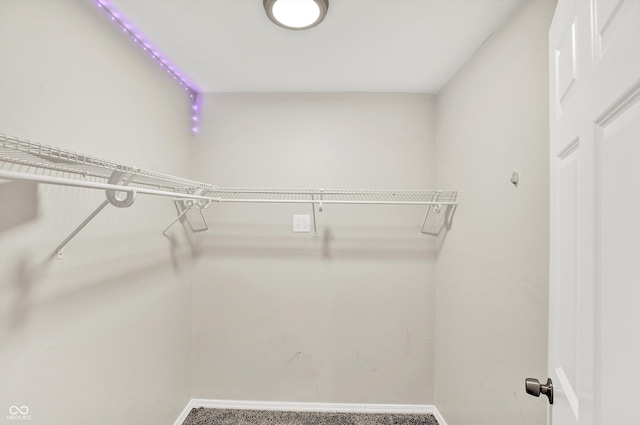 8920 Caminito Rd, Indianapolis, IN 46234 - view of walk in closet
