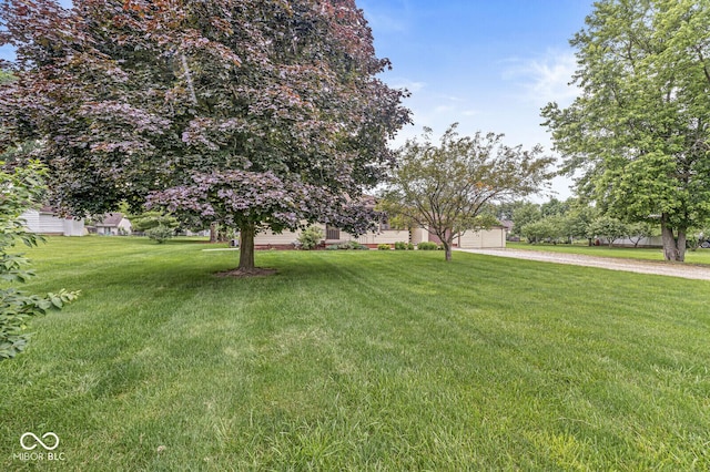 4010 S Bazil Ave, Indianapolis, IN 46239 - view of green lawn with dirt driveway and a garage