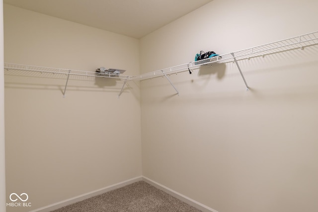 3541 N Hackberry St N, Bloomington, IN 47404 - walk in closet with carpet