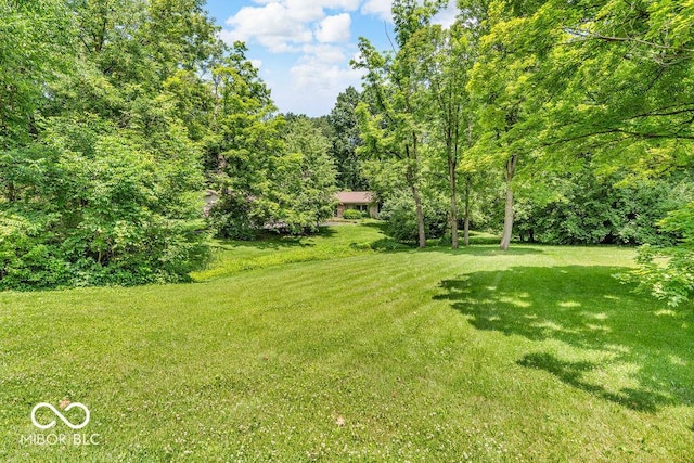 450 W 93rd St, Indianapolis, IN 46260 - photo 4