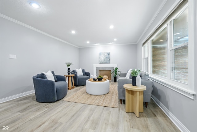 5205 Staughton Dr, Indianapolis, IN 46226 - sitting room with light wood-style floors, recessed lighting, crown molding, and a fireplace
