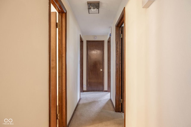 5749 Teresa Dr, Alexandria, IN 46001 - hall with light colored carpet