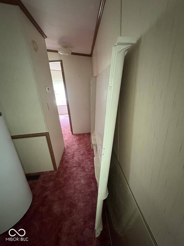 162 Lazy River Pl, Cloverdale, IN 46120 - corridor with carpet and crown molding