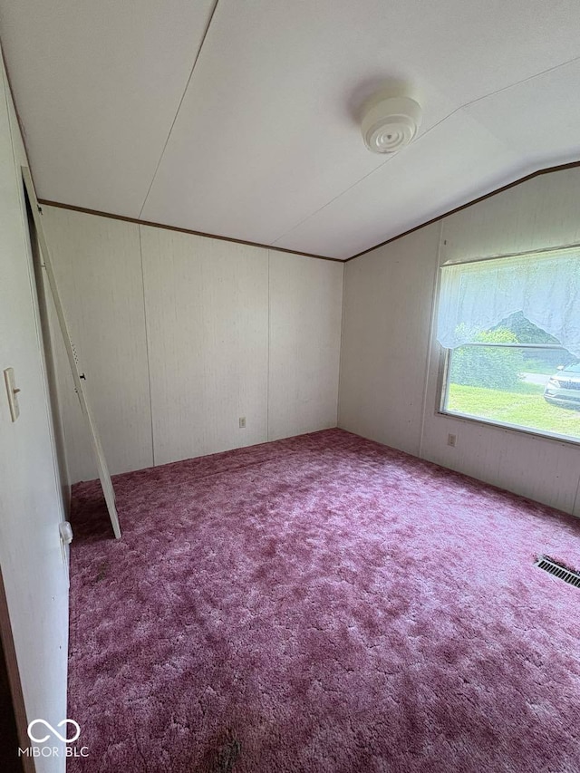 162 Lazy River Pl, Cloverdale, IN 46120 - unfurnished room with carpet, lofted ceiling, and wood walls
