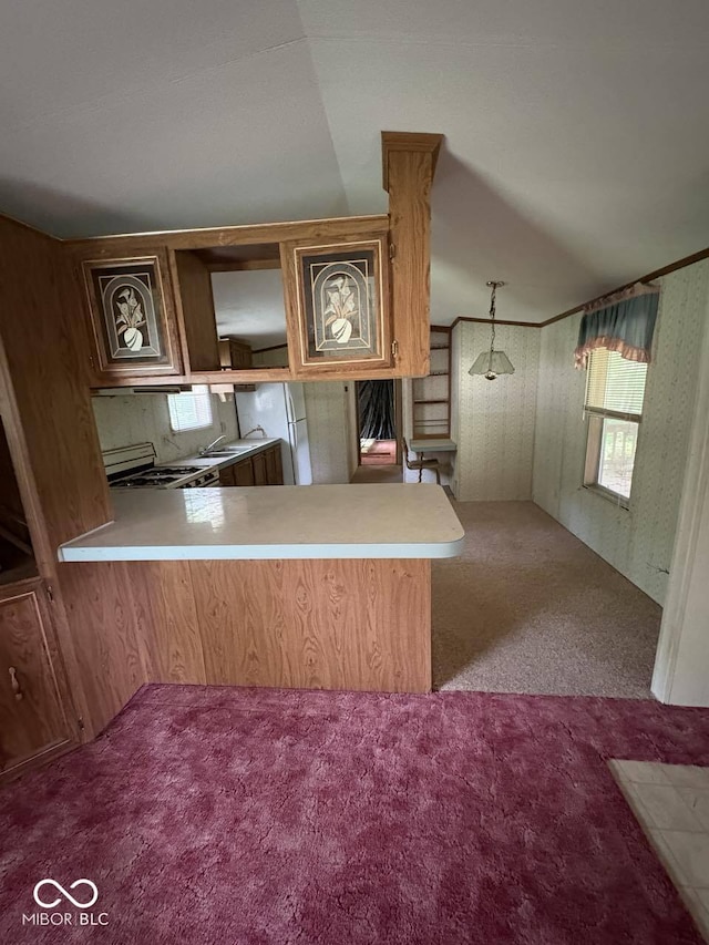 162 Lazy River Pl, Cloverdale, IN 46120 - kitchen featuring carpet flooring, a peninsula, light countertops, and healthy amount of natural light