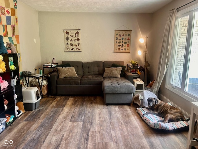 2213 Holden Dr, Anderson, IN 46012 - living room with wood finished floors and a textured ceiling