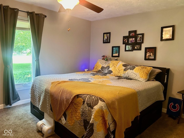 2213 Holden Dr, Anderson, IN 46012 - bedroom featuring carpet floors, multiple windows, and ceiling fan